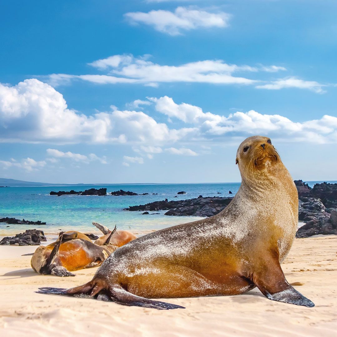 San Cristóbal, Galápagos